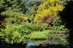 San Francisco Botanical Garden