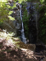 Pfeiffer Falls